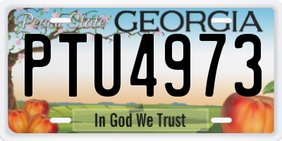 GA license plate PTU4973