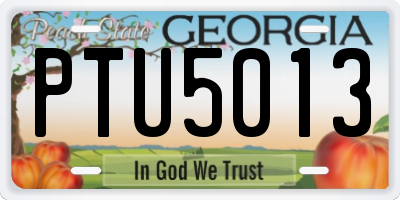 GA license plate PTU5013