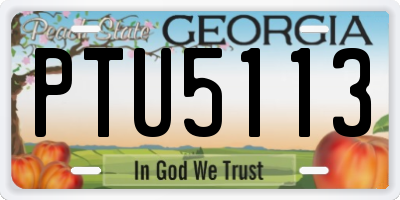 GA license plate PTU5113