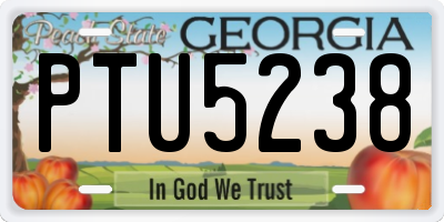GA license plate PTU5238