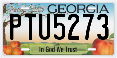 GA license plate PTU5273