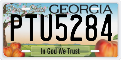 GA license plate PTU5284
