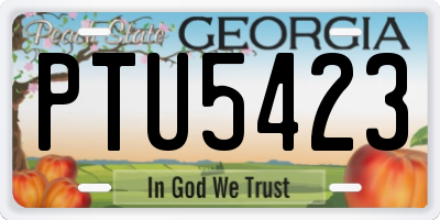 GA license plate PTU5423