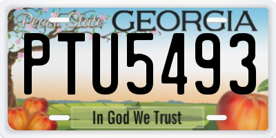 GA license plate PTU5493