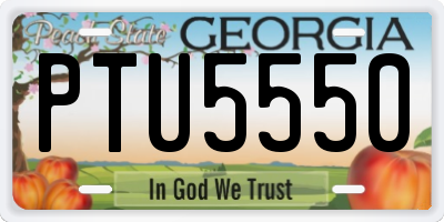 GA license plate PTU5550