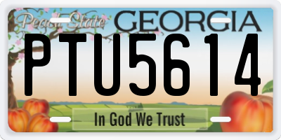 GA license plate PTU5614