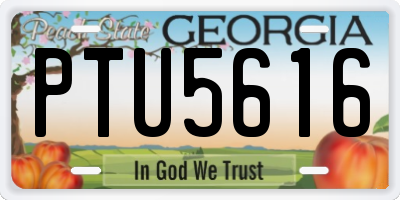 GA license plate PTU5616
