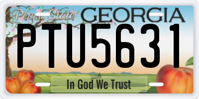 GA license plate PTU5631