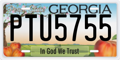 GA license plate PTU5755