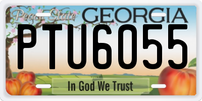 GA license plate PTU6055