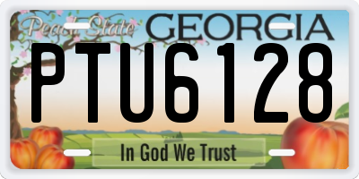 GA license plate PTU6128