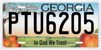 GA license plate PTU6205