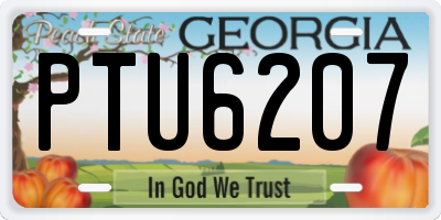 GA license plate PTU6207