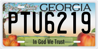 GA license plate PTU6219