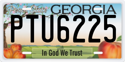 GA license plate PTU6225