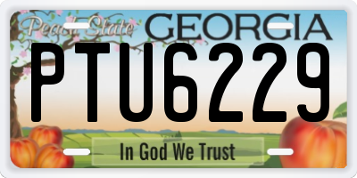 GA license plate PTU6229