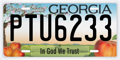 GA license plate PTU6233