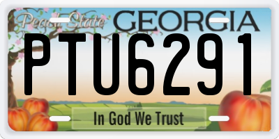 GA license plate PTU6291