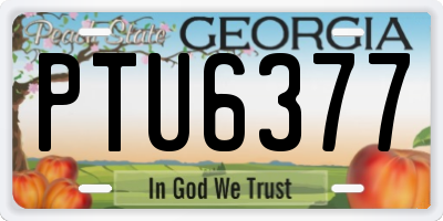 GA license plate PTU6377