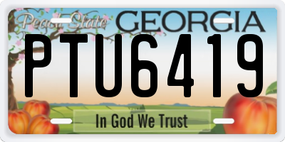 GA license plate PTU6419