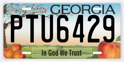 GA license plate PTU6429