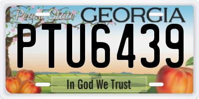 GA license plate PTU6439