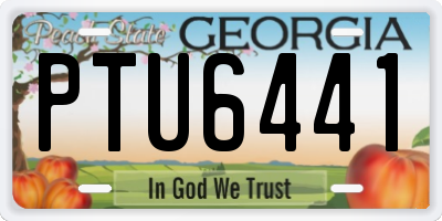 GA license plate PTU6441