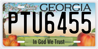 GA license plate PTU6455
