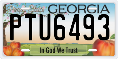 GA license plate PTU6493
