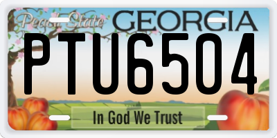GA license plate PTU6504