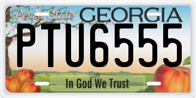 GA license plate PTU6555