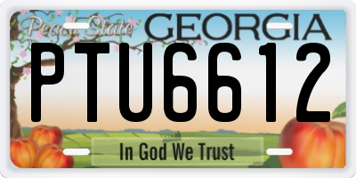 GA license plate PTU6612