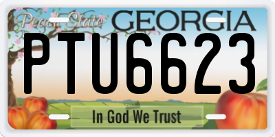 GA license plate PTU6623