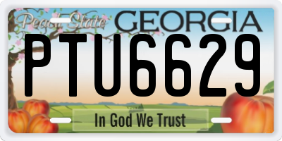 GA license plate PTU6629