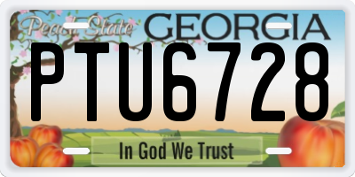 GA license plate PTU6728
