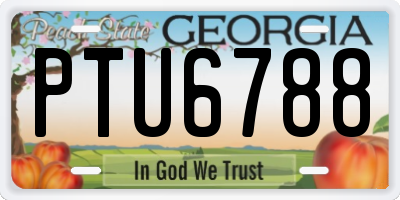 GA license plate PTU6788