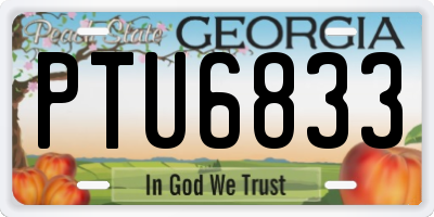 GA license plate PTU6833