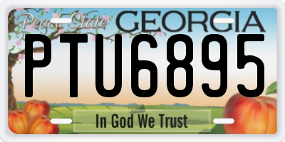 GA license plate PTU6895