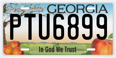 GA license plate PTU6899
