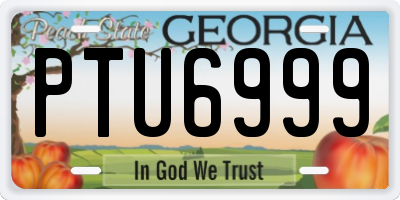 GA license plate PTU6999