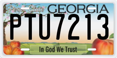 GA license plate PTU7213