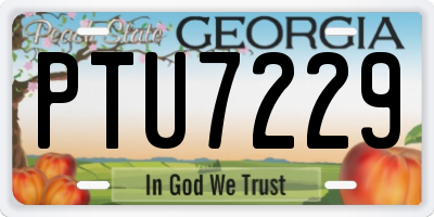 GA license plate PTU7229