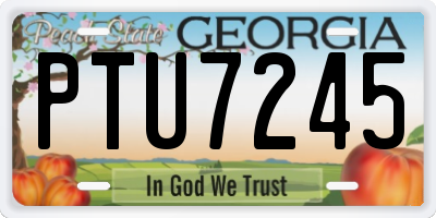 GA license plate PTU7245