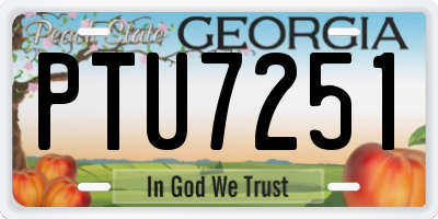 GA license plate PTU7251