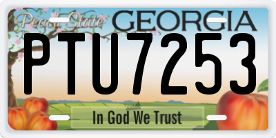 GA license plate PTU7253