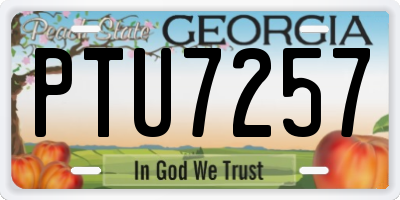 GA license plate PTU7257