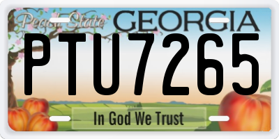 GA license plate PTU7265