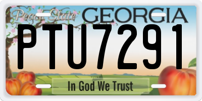 GA license plate PTU7291