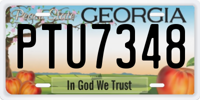 GA license plate PTU7348