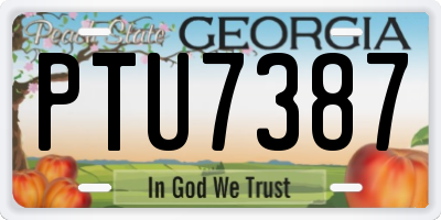 GA license plate PTU7387